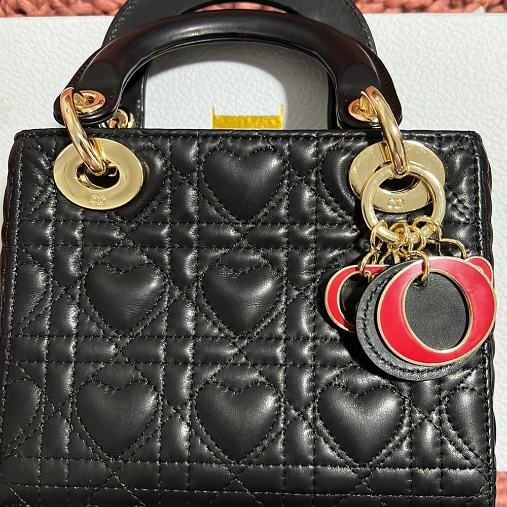 ABC Dior Bag